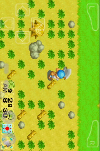 牧场物语破解修改版