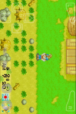 牧场物语手机版