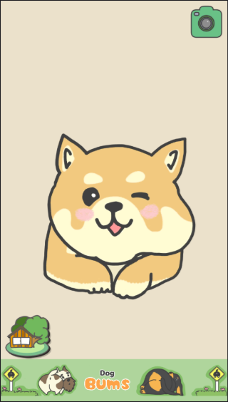 狗狗d小PP中文版下载