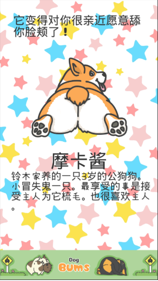 狗狗d小PP安卓中文版下载