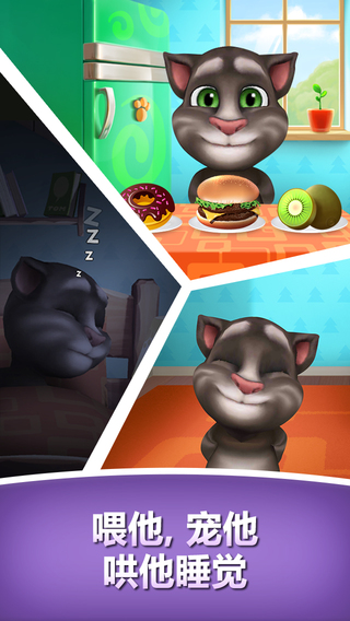 �ҵ���ķè�ֻ���