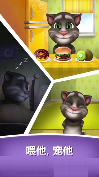 �ҵĻ�˵������ķè�ƽ�氲׿��