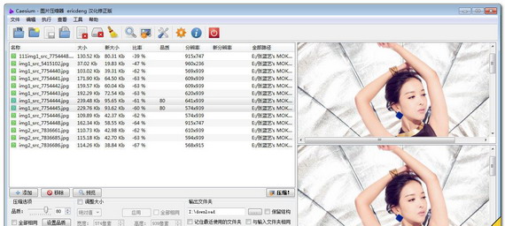 Caesium Portable