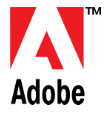Ӯ������adobe CC 2019��ʦ��