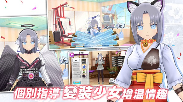 �����������ߴ�ʦ����