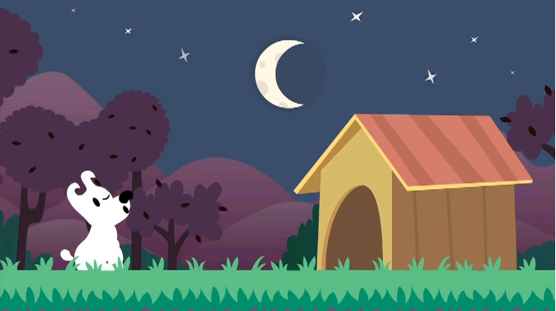 ��Ƥ��ð���ξ���������������