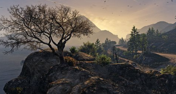 �����ɳ���5app����