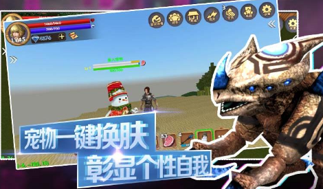 ������Ĺ���������ʯ������