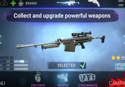 ɥʬ�������°�