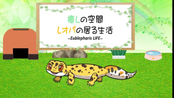 �ع�������С���ƽ������