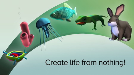 ��ϸ��������������ֹ��