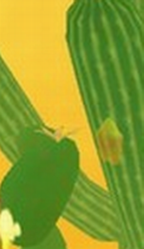 ΢�Ž�ͼ_20210224140529