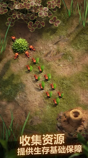 ΢�Ž�ͼ_20220517141334