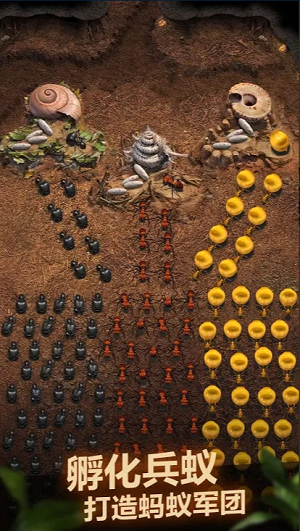 ΢�Ž�ͼ_20220517141340