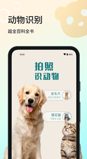 screenshot17512